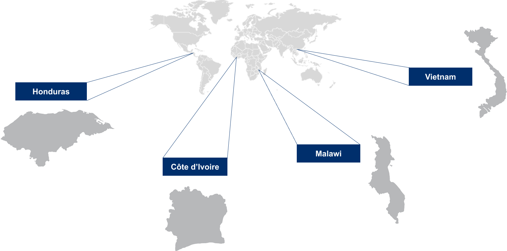 World Map Placeholder