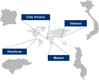 World Map Placeholder